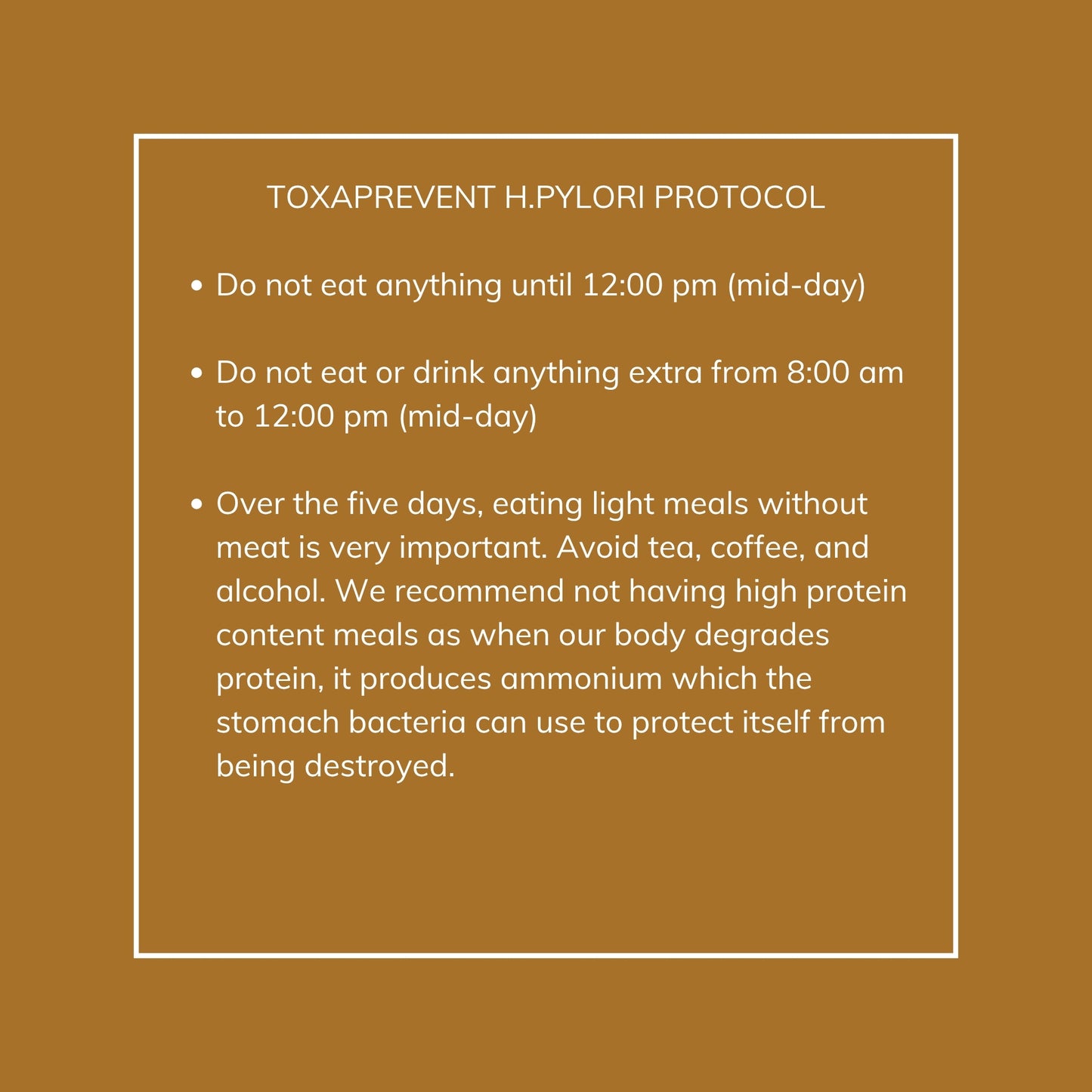 H. Pylori Protocol