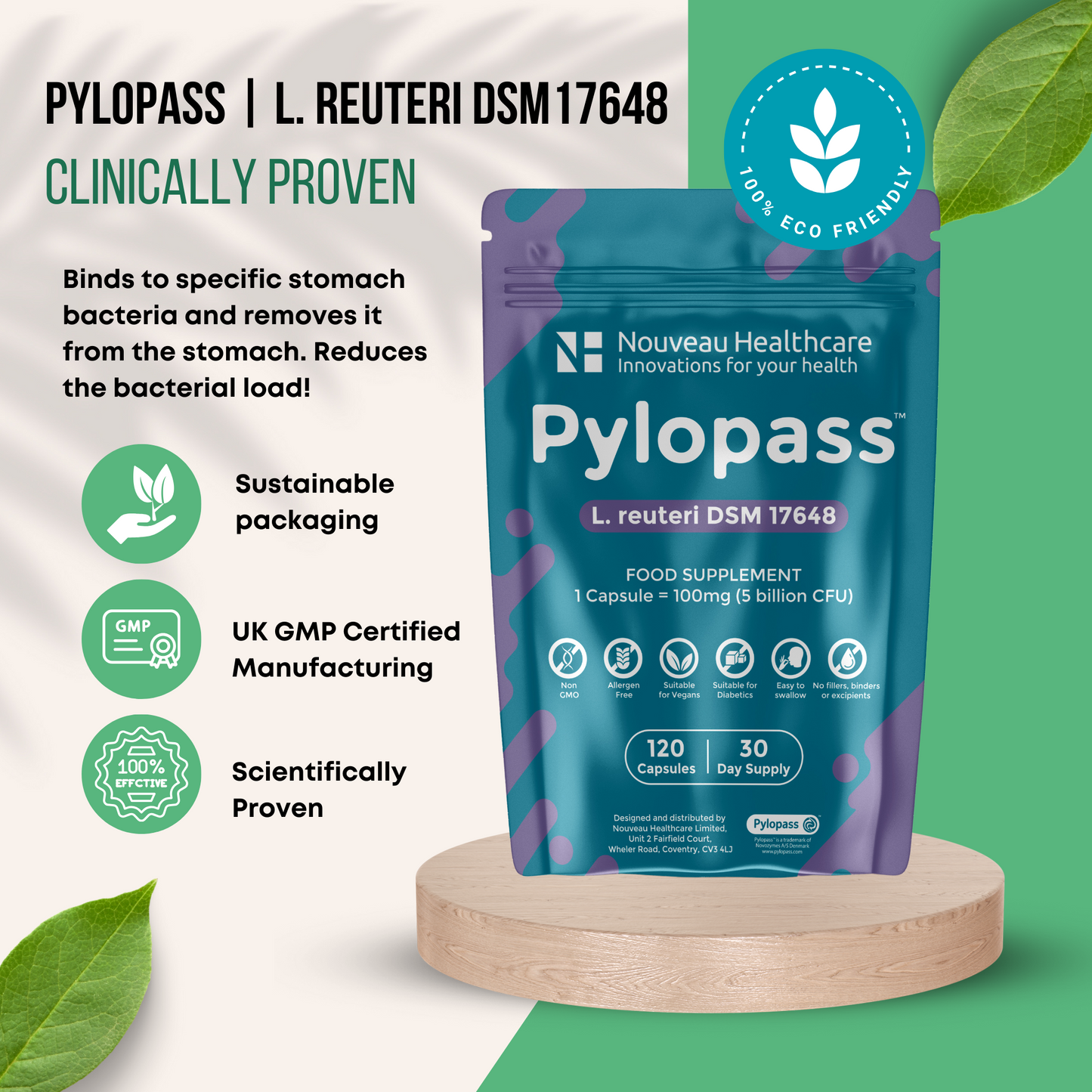 Pylopass L. reuteri DSM 17648