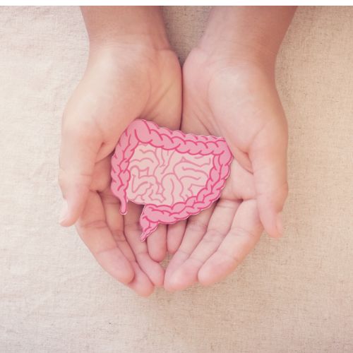 Leaky Gut Could Histamine Be The Cause?