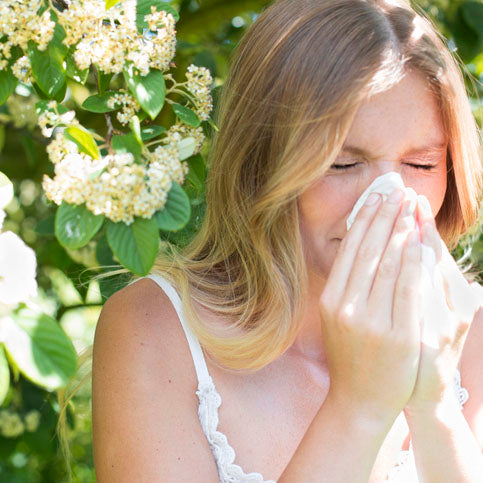 Hay fever and histamine