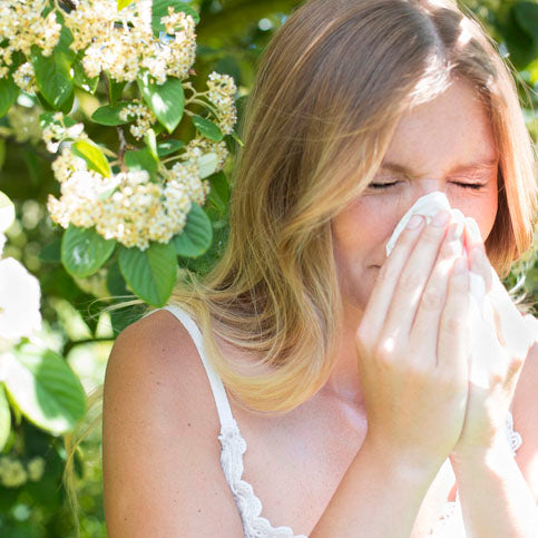 Hay Fever And Histamine