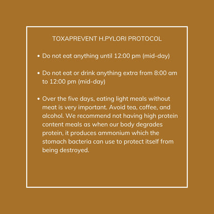 H. Pylori Protocol