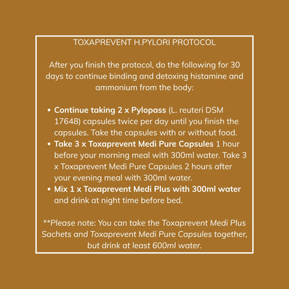 H. Pylori Protocol