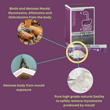 Mould & Mycotoxin Detox Protocol