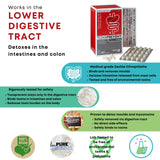 Mould & Mycotoxin Detox Protocol