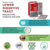 Heavy Metal Detox Protocol