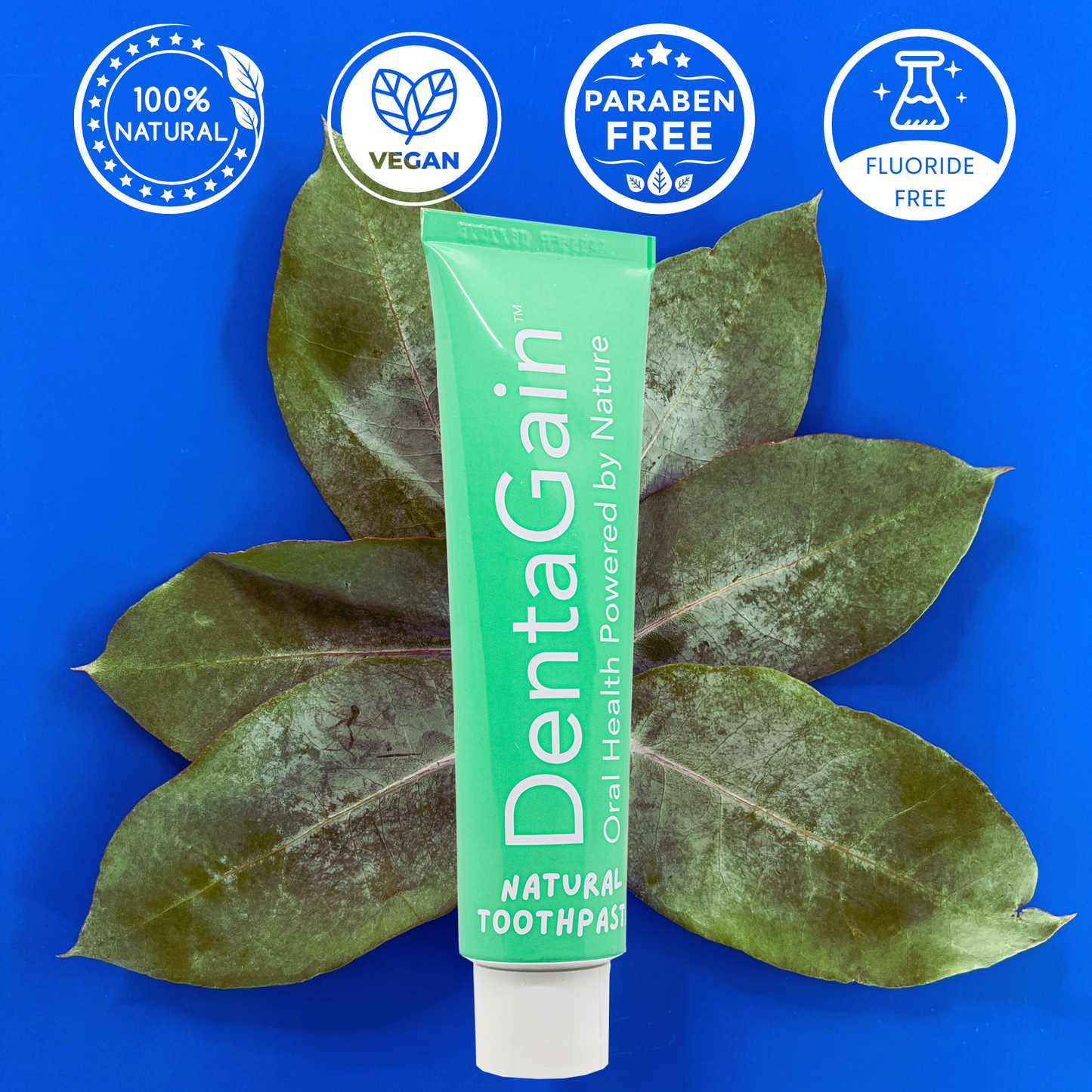 DentaGain Natural & Sensitive Toothpaste