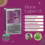 Mould & Mycotoxin Detox Protocol