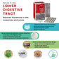 Histamine intolerance health pack