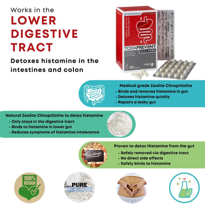 Histamine Intolerance | Histamine Overload | Histamine Detox & Protocol